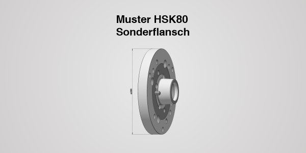 Werkzeughalter HSK 80