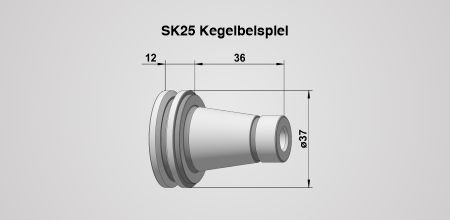 Werkzeughalter SK 25